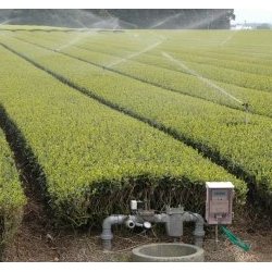 防霜散水器とスプリンクラー可動中